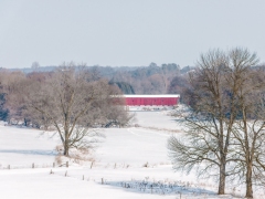 Julie Seiler - West Montrose Covered Bridge