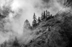 Jennifer_Leat-Misty_mountainside