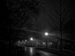 Nora Znotinas - Quiet Foggy Night