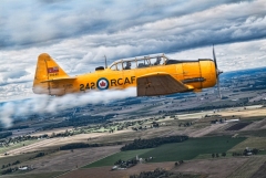 Cameron McGill (FC) - Harvard Flight