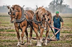 Andre Secours (HG) - Plowing