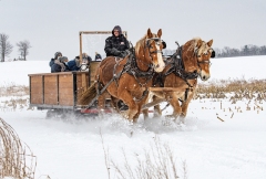 Jane van Pelt - Dashing Through the Snow