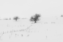 29KevinMacIntyreHGWintersEmbrace21